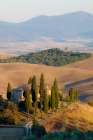 Italy-Tuscany Belvedere House-Olive trees-and vineyards near San Quirico dOrcia Art Print